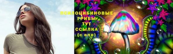 ГАЛЛЮЦИНОГЕННЫЕ ГРИБЫ Армянск
