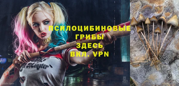 ГАЛЛЮЦИНОГЕННЫЕ ГРИБЫ Армянск
