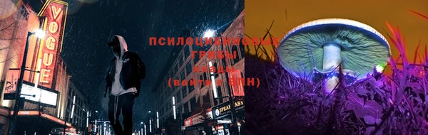 ГАЛЛЮЦИНОГЕННЫЕ ГРИБЫ Армянск