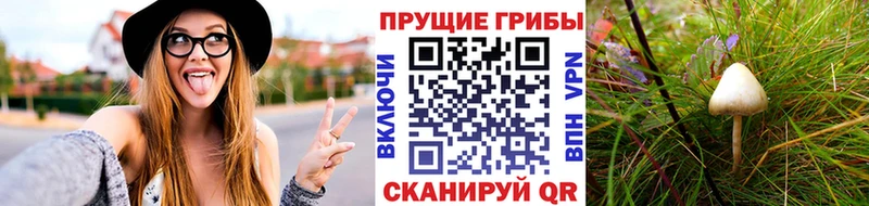 Галлюциногенные грибы ЛСД  Бавлы 